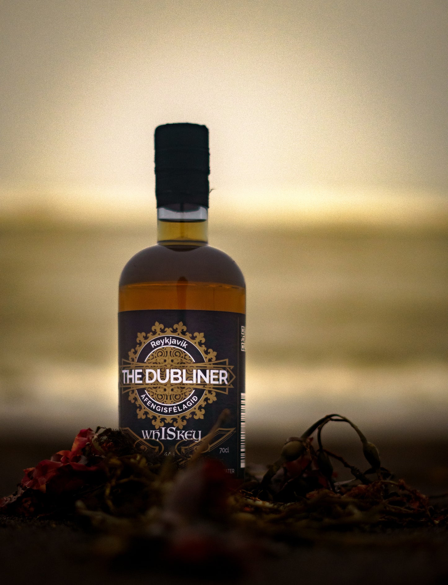 The Dubliner Reykjavík Whiskey